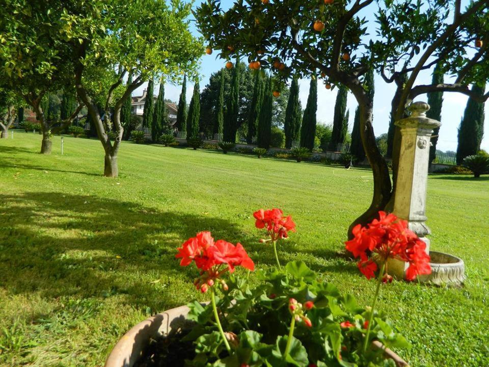 Villa Lucilla Altavilla Silentina Extérieur photo