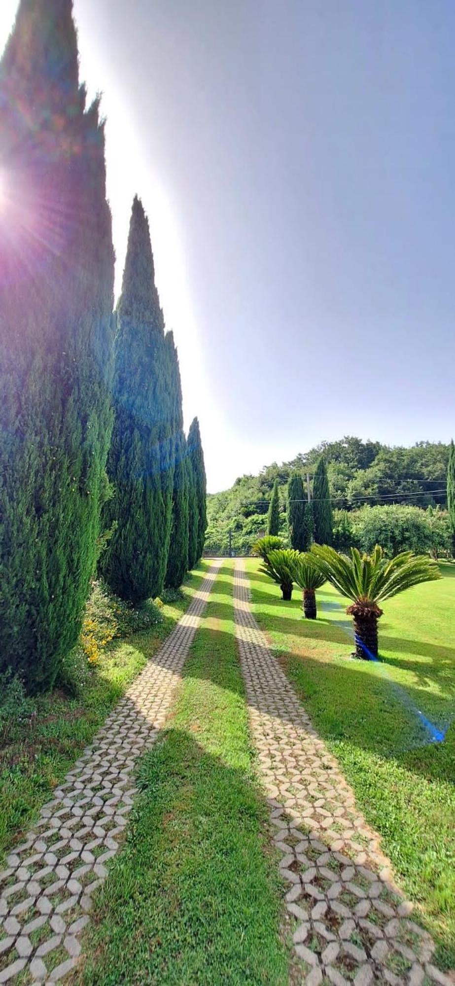 Villa Lucilla Altavilla Silentina Extérieur photo